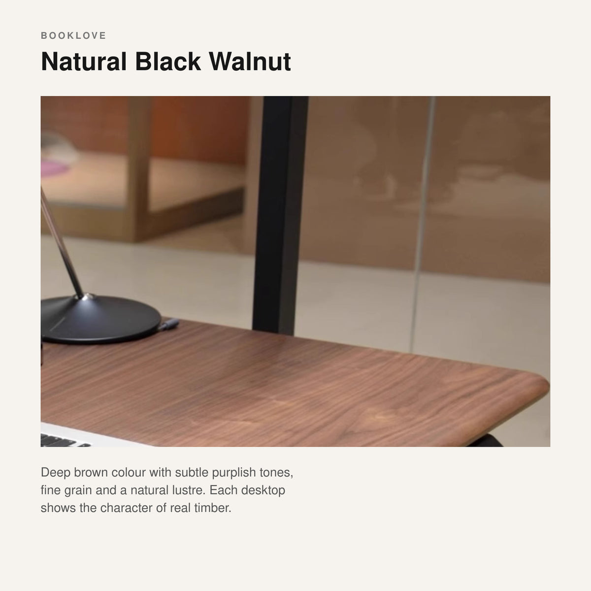 FAS Grade Solid American Walnut Wood