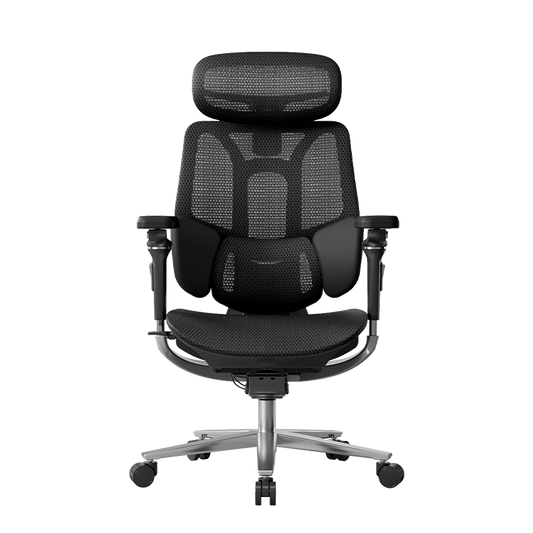 HBADA E3 PRO Ergonomic Chair without Footrest Upgrade