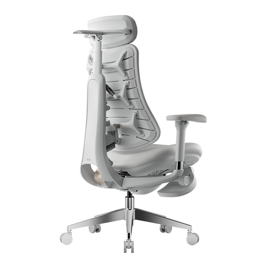 HBADA T8 Max Ergonomic Chair with Dynamic Lumbar Support