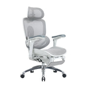 SIHOO Doro C300 Pro V2 Ergonomic Office Chair