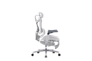 SIHOO Doro C500 Ergonomic Office Chair