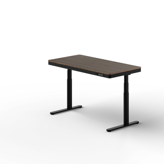 FlexiSpot Pro Q8 Dual Motor All In One Standing Desk