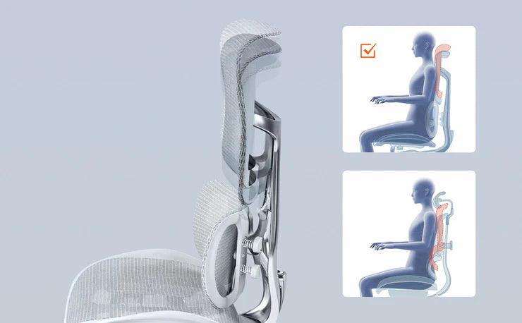 Comfort for the Entire Back