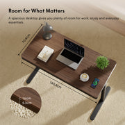 FlexiSpot Pro Q8 Dual Motor All In One Standing Desk
