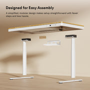 FlexiSpot Pro Q8 Dual Motor All In One Standing Desk