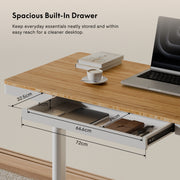 FlexiSpot Pro Q8 Dual Motor All In One Standing Desk