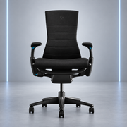 Herman Miller Embody Chair