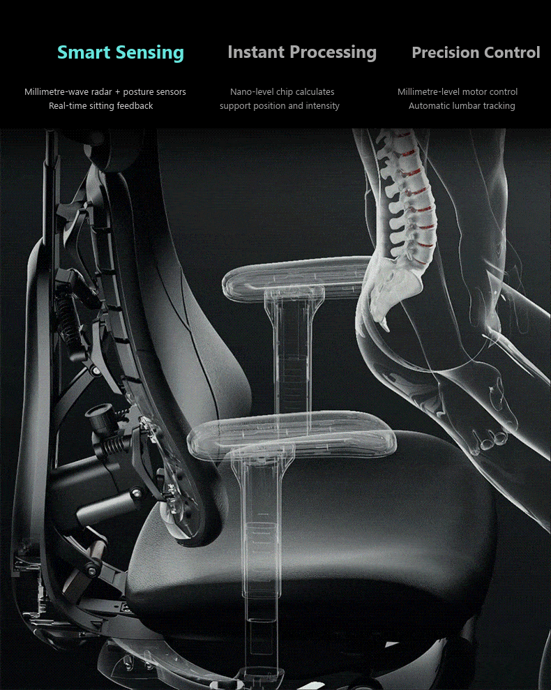 HBADA T8 Max Ergonomic Chair with Dynamic Lumbar Support
