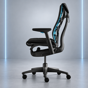 Herman Miller Embody Chair