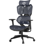 XALLKING X5C Ergonomic Gaming Chair