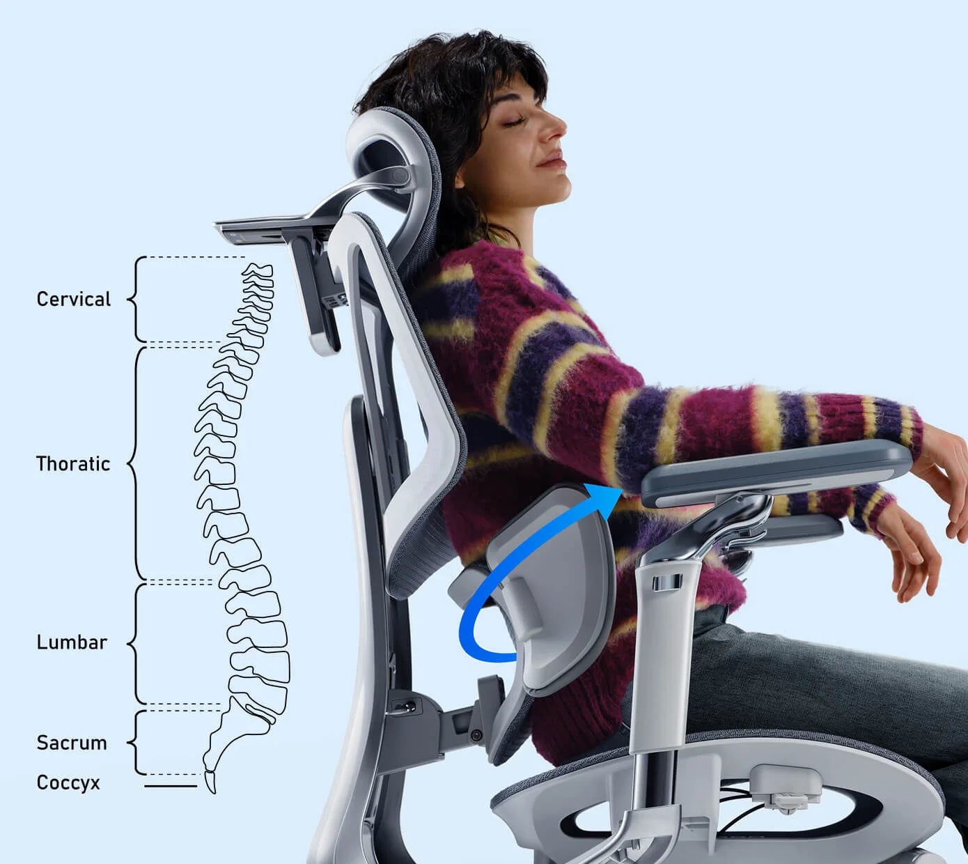 Back support in profile